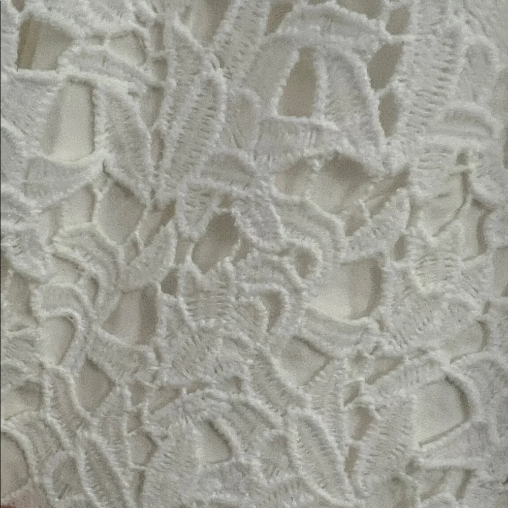 Astr Cream Lace Midi Dress - Picture 4 of 7
